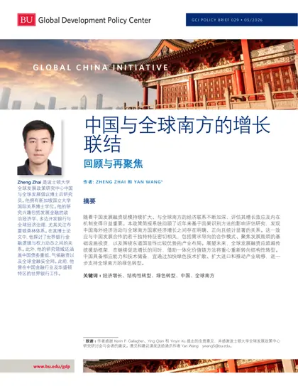 中国与全球南方的增长联结：回顾与再聚焦封面