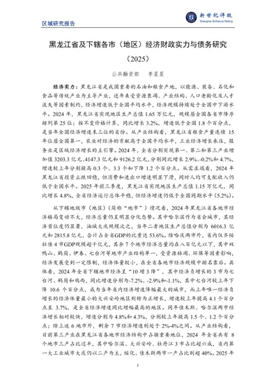 黑龙江省及下辖各市（地区）经济财政实力与债务研究（2025）封面