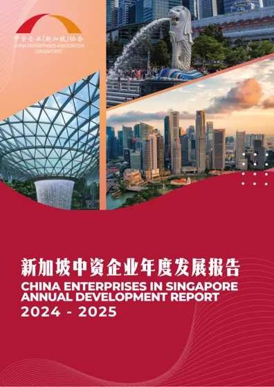 新加坡中资企业年度发展报告（2024-2025）封面