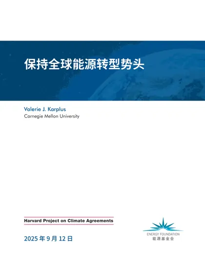 Sustaining the Global Energy Transition封面