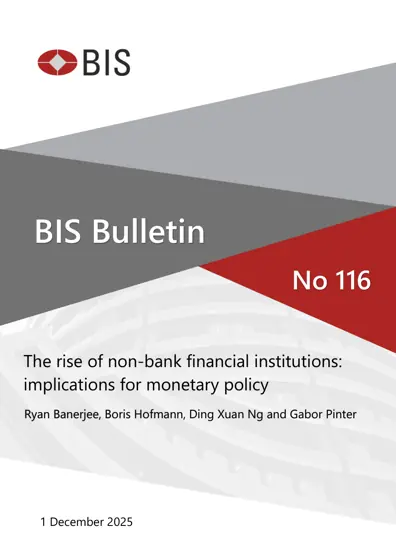 The rise of non-bank financial institutions: implications for monetary policy封面