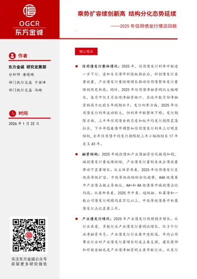 2025年信用债发行情况回顾封面