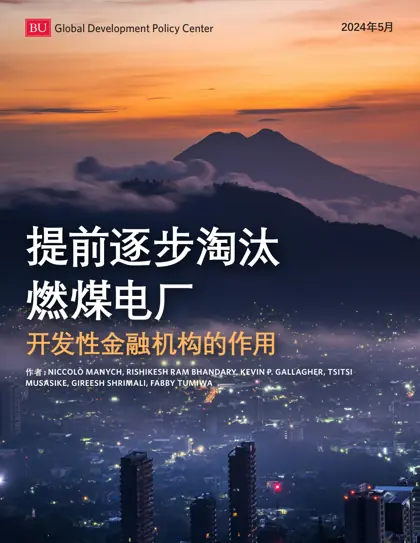 提前逐步淘汰燃煤电厂：开发性金融机构的作用封面