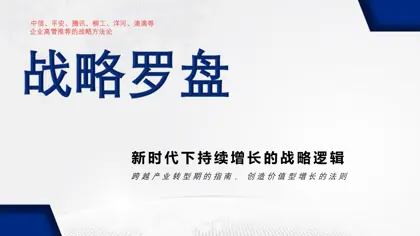战略罗盘封面