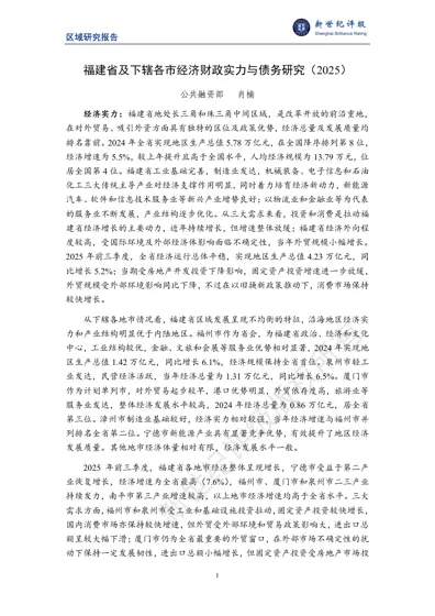 福建省及下辖各市经济财政实力与债务研究(2025)封面