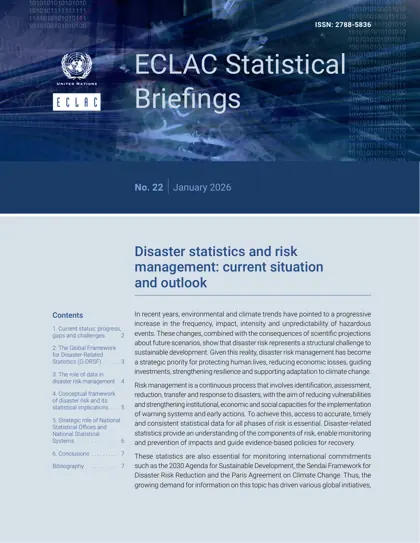 Disaster statistics and risk management: current situation and outlook封面