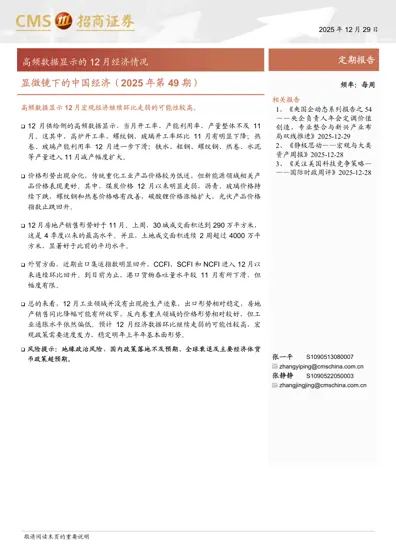 显微镜下的中国经济(2025年第49期)封面