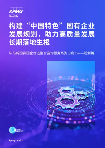 构建“中国特色”国有企业发展规划，助力高质量发展长期落地生根封面