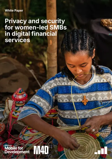 Privacy and security for women-led SMBs in digital financial services封面