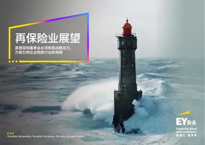 再保险业展望封面