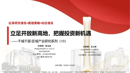 立足开放新高地,把握投资新机遇——千城千面·区域产业研究系列(10)封面