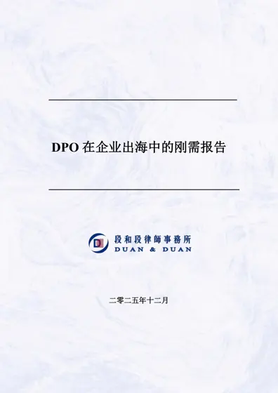 DPO在企业出海中的刚需报告封面