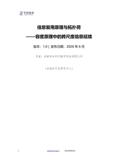 信息复用原理与拓扑荷——容度原理中的跨尺度信息延续封面