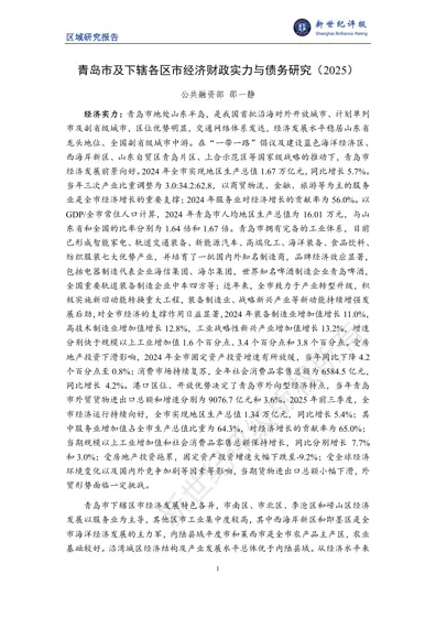 青岛市及下辖各区市经济财政实力与债务研究（2025）封面