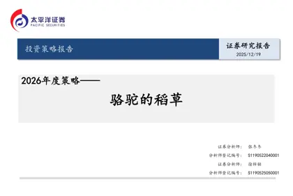 骆驼的稻草：2026年度策略封面