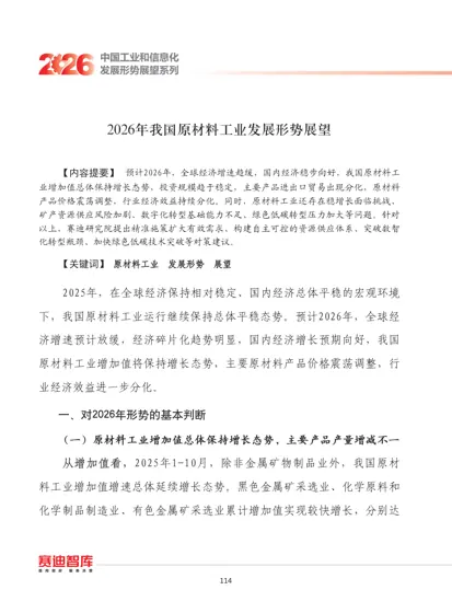 2026年我国原材料工业发展形势展望封面