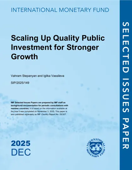 Scaling Up Quality Public Investment for Stronger Growth封面