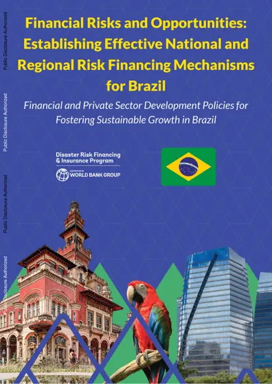 Disaster Risk Finance Diagnostic - BRAZIL封面