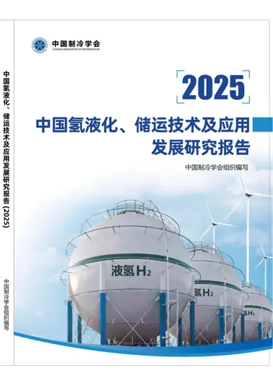 氢能技术路线图 氢能技术与产业发展研究报告封面