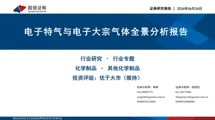 电子特气与电子大宗气体全景分析报告封面