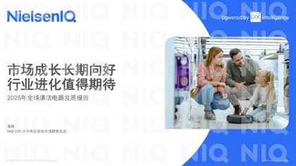 2025年全球清洁电器发展报告封面