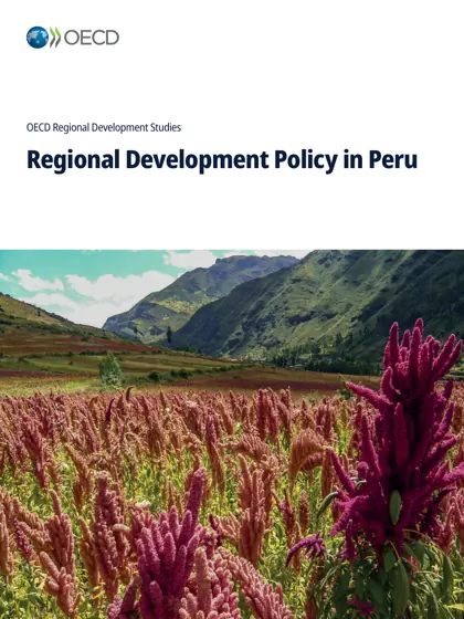 Regional Development Policy in Peru封面