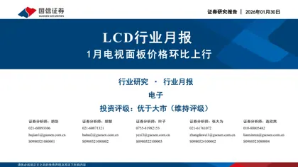 LCD行业月报:1月电视面板价格环比上行封面