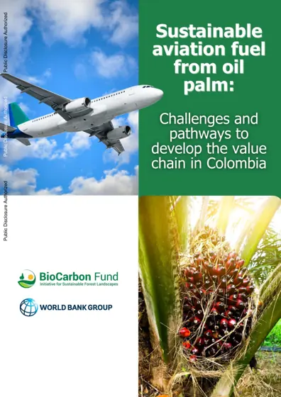 Sustainable Aviation Fuel from Oil Palm: Challenges and Pathways to Develop the Value Chain in Colombia封面