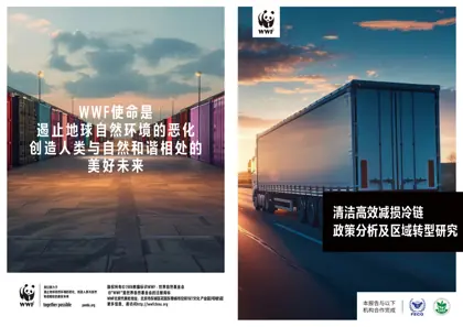 清洁高效减损冷链政策分析及区域转型研究封面