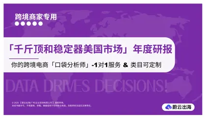 亚马逊市场趋势与品牌竞争分析报告（千斤顶和稳定器美国市场）封面