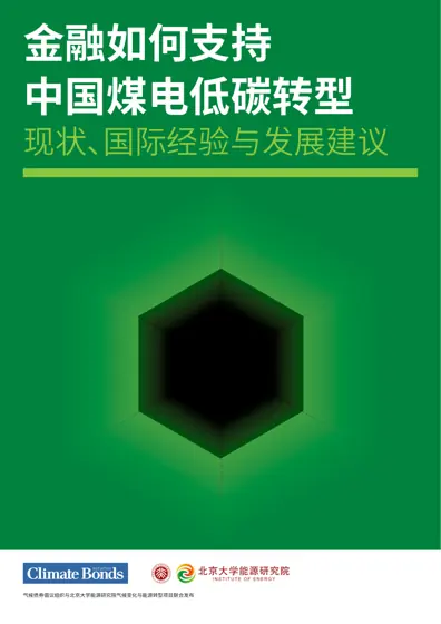 金融如何支持中国煤电低碳转型：现状、国际经验与发展建议封面