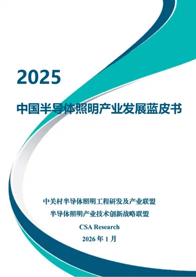 2025中国半导体照明产业发展蓝皮书封面