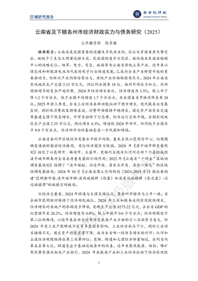 云南省及下辖各州市经济财政实力与债务研究(2025)封面