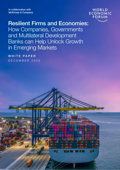 Resilient Firms and Economies: How Companies, Governments and Multilateral Development Banks can Help Unlock Growth in Emerging Markets(韧性企业与经济体:企业、政府与多边开发银行如何助力新兴市场释放增长)封面