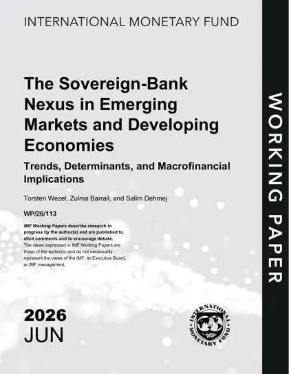 The Sovereign-Bank Nexus in Emerging Markets and Developing Economies: Trends, Determinants, and Macrofinancial Implications封面