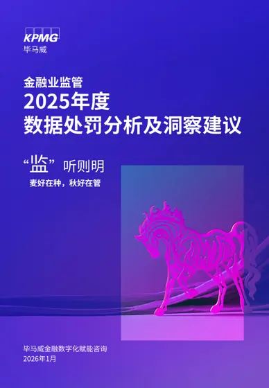金融业监管 2025年度 数据处罚分析及洞察建议封面