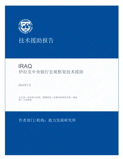 伊拉克中央银行宏观框架技术援助技术援助报告封面