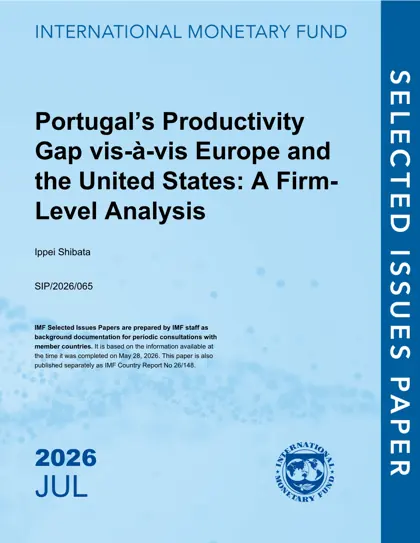 Portugal’s Productivity Gap vis-à-vis Europe and the United States: A Firm-Level Analysis封面