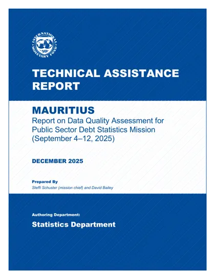 Report on Data Quality Assessment for Public Sector Debt Statistics Mission (September 4–12, 2025)封面