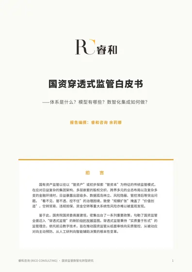 国资穿透式监管白皮书——体系是什么?模型有哪些?数智化集成如何做?封面