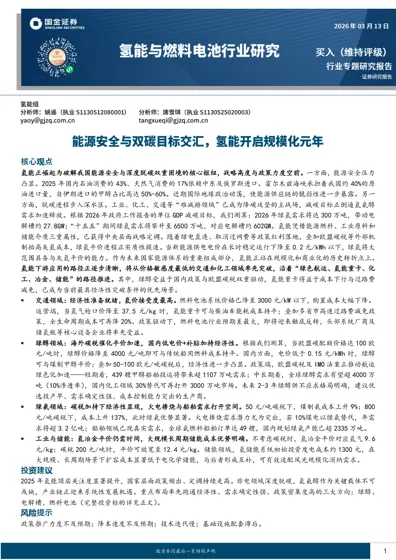 氢能行业专题研究报告：能源自主化与非电能源降碳趋势明晰，氢氨醇需求打开封面