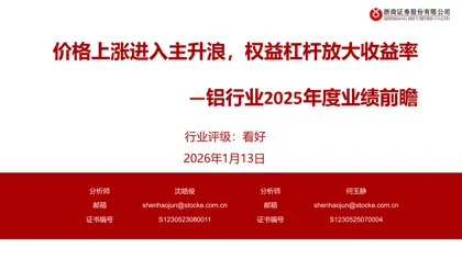 价格上涨进入主升浪,权益杠杆放大收益率—铝行业2025年度业绩前瞻封面