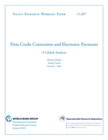 Firm Credit Constraints and Electronic Payments: A Global Analysis封面