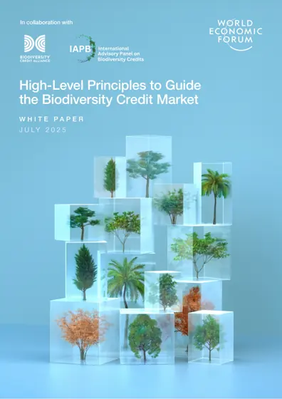 High-Level Principles to Guide the Biodiversity Credit Market封面