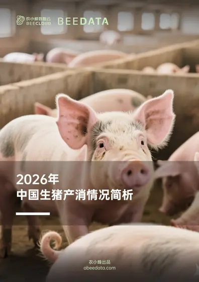 2026年中国生猪生产消费及市场行情数据分析报告封面