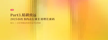 2025小红书内衣行业长效增长密码封面