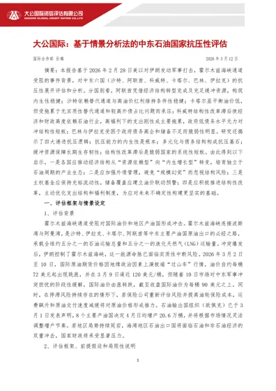 基于情景分析法的中东石油国家抗压性评估封面