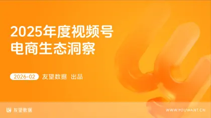 2025年度视频号电商生态洞察封面