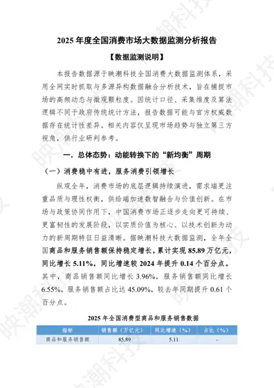 2025年度全国消费市场大数据监测分析报告封面