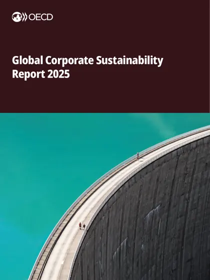Global Corporate Sustainability Report 2025封面